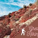 Comfycation アパート