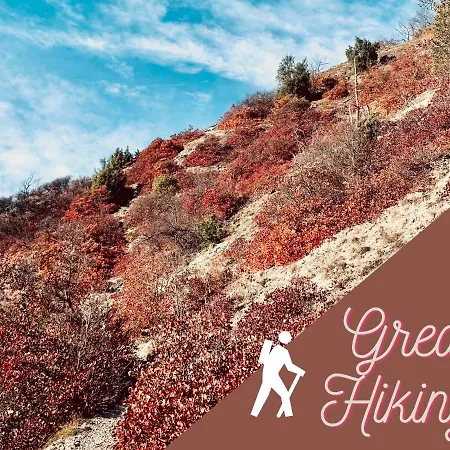 Zentral&ruhig, Ideal Für Office Mit Garten Apartamento