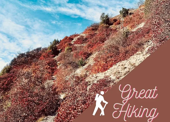 Comfycation Appartamento